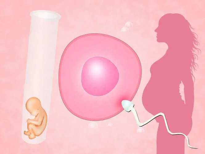 西安拉拉捐卵群 西安试管婴儿费用清单 ‘孕囊1.8*2.0*1.3是男是女孩’